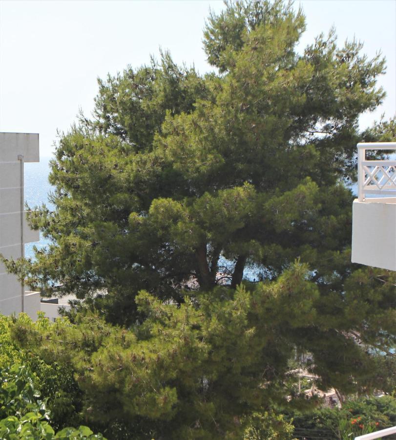 Saranda Hotel Εξωτερικό φωτογραφία