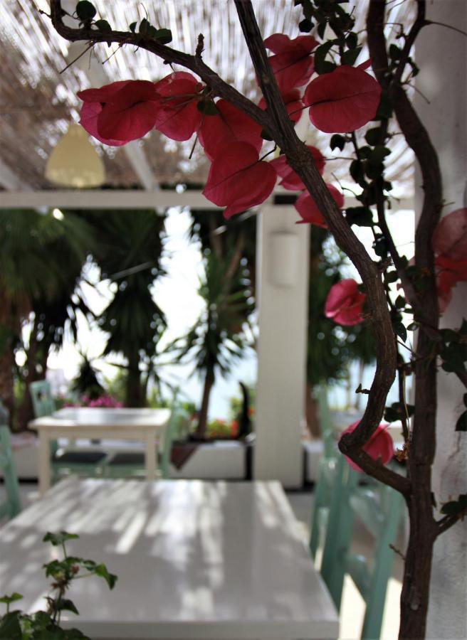 Saranda Hotel Εξωτερικό φωτογραφία