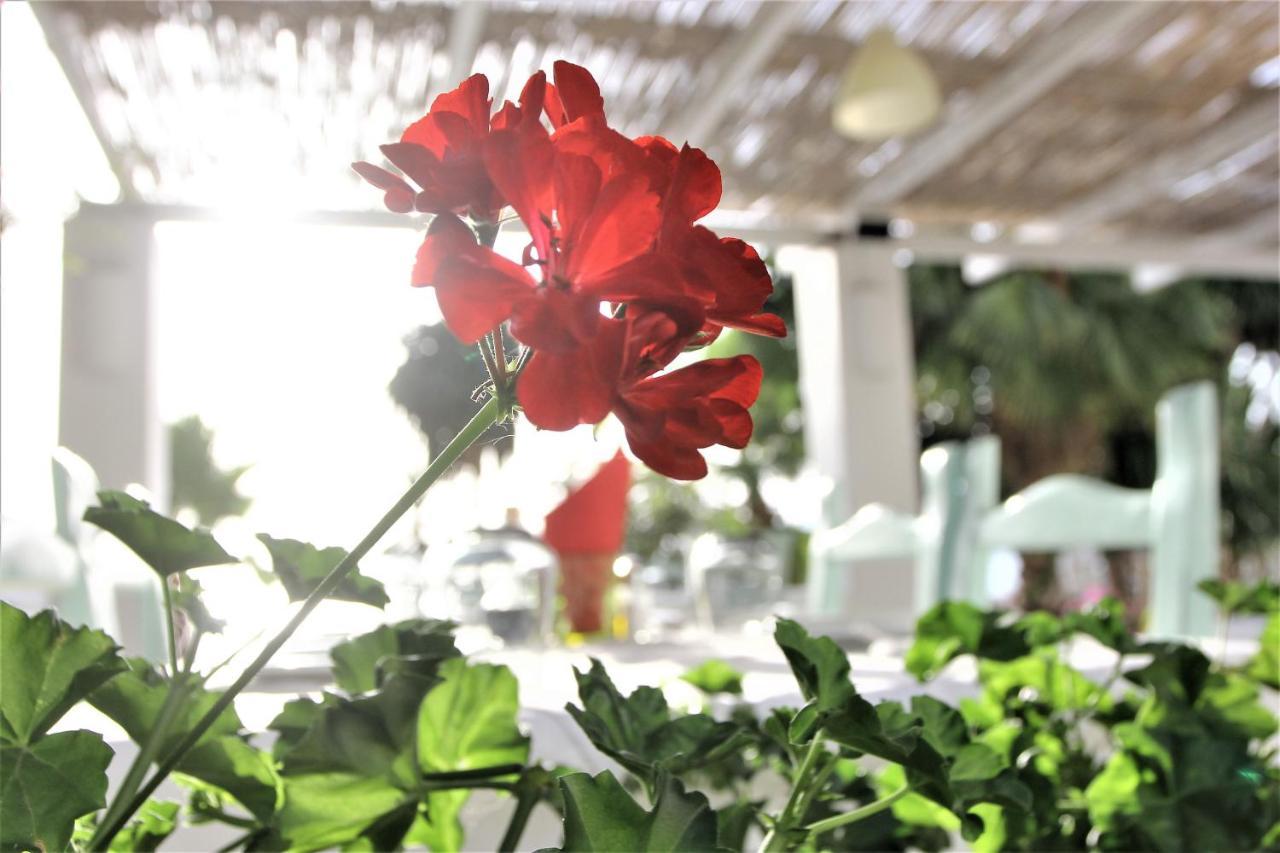 Saranda Hotel Εξωτερικό φωτογραφία